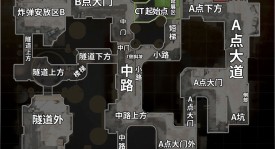 战术显微镜：解读karrigan作为IGL的临场阅读与决策艺术